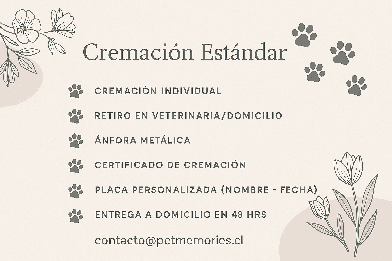 Servicio de cremación de mascotas